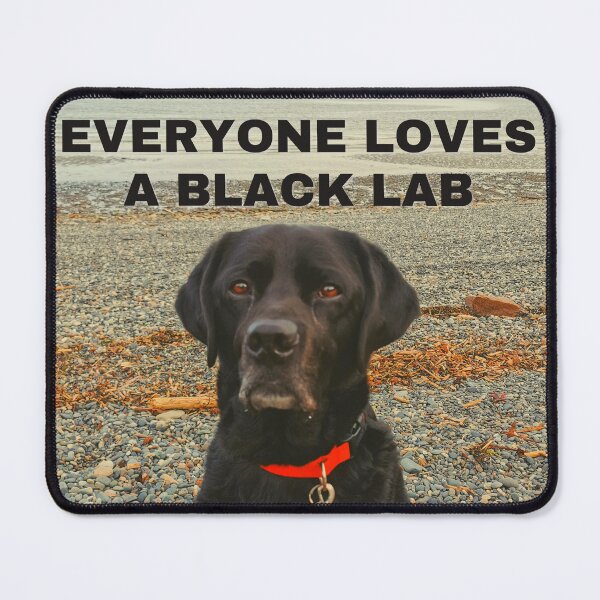 Item preview, Everyone Loves A Black Lab - Black Labrador Dog Design designed and sold by DiscoDavey.