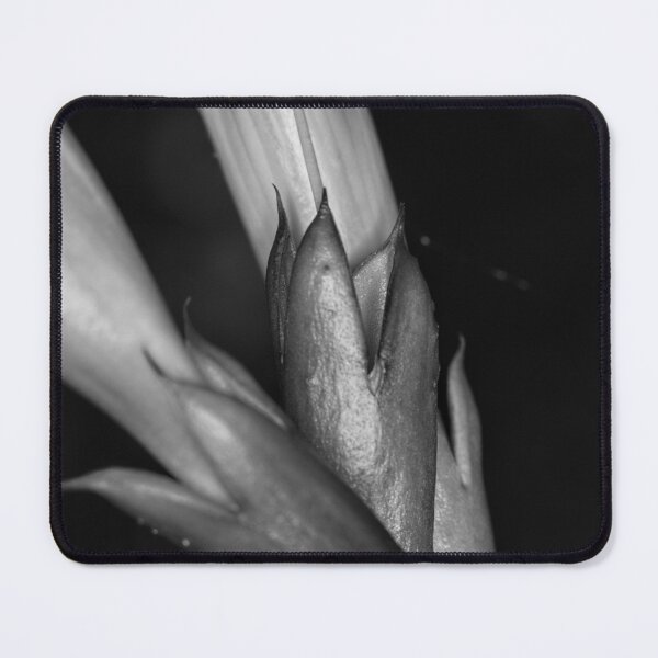 Item preview, Autumn Macros (6) designed and sold by Wolf Sverak Photography.