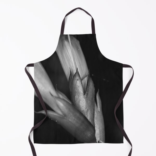 Item preview, Autumn Macros (6) designed and sold by Wolf Sverak Photography.