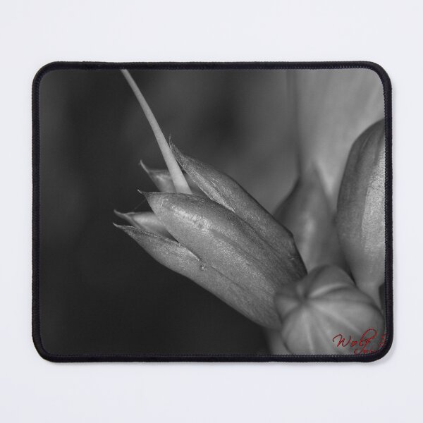 Item preview, Autumn Macros (7) designed and sold by Wolf Sverak Photography.