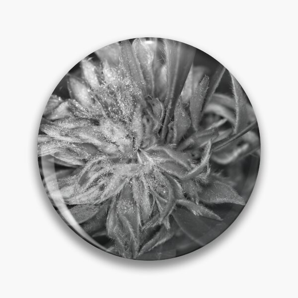 Item preview, Autumn Macros (8) designed and sold by Wolf Sverak Photography.