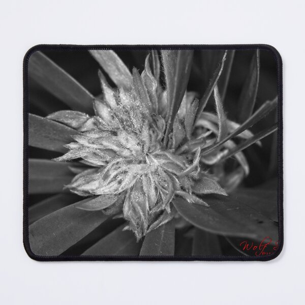Item preview, Autumn Macros (8) designed and sold by Wolf Sverak Photography.