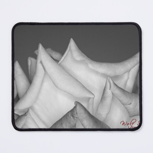 Item preview, Autumn Macros (12) designed and sold by Wolf Sverak Photography.