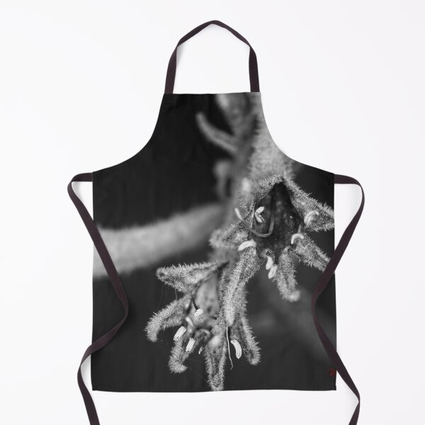 Item preview, Autumn Macros (17) designed and sold by Wolf Sverak Photography.