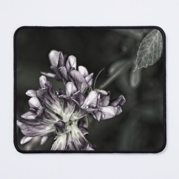 Item preview, Autumn Macros (19) designed and sold by Wolf Sverak Photography.