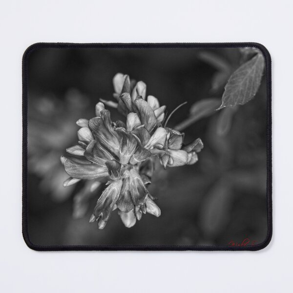 Item preview, Autumn Macros (20) designed and sold by Wolf Sverak Photography.