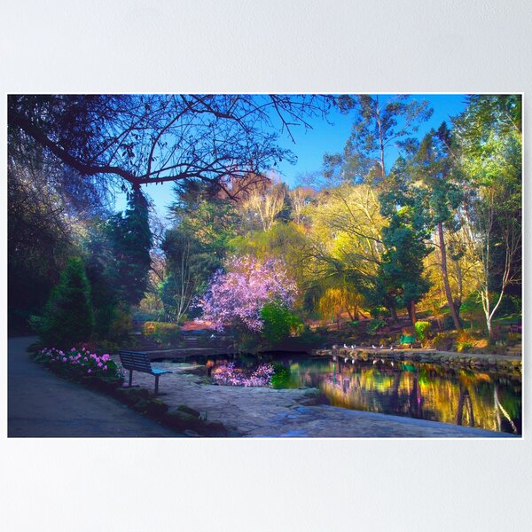 Item preview, Peasholm Park Cherry Blossom Reflection  designed and sold by Alisonchambers2.