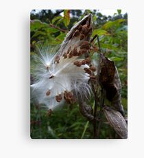 THE WONDERS OF MOTHER NATURE Canvas Print