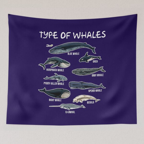 Item preview, Types Of Whales Cute Ocean Mammals Guide designed and sold by JessycaCollier.