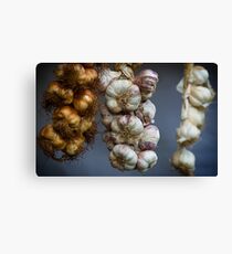 Garlic Canvas Print