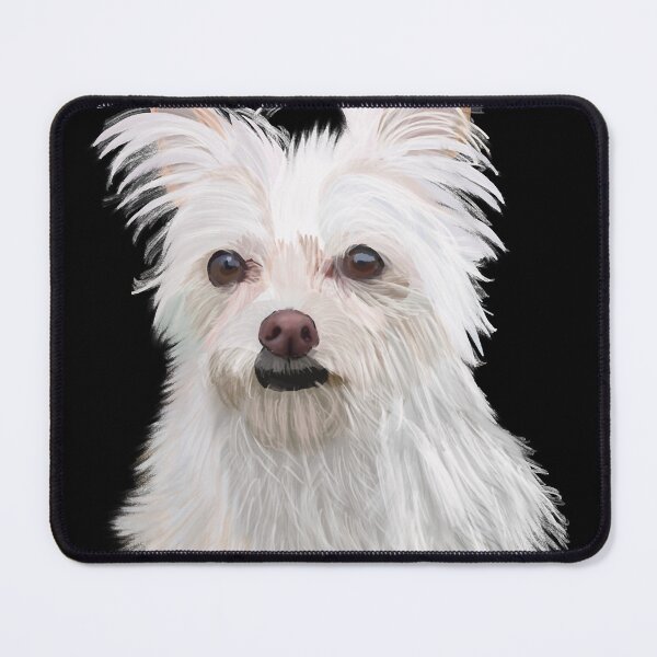 Item preview, Bobo the Gremlin Dog designed and sold by bryttanisiarra.