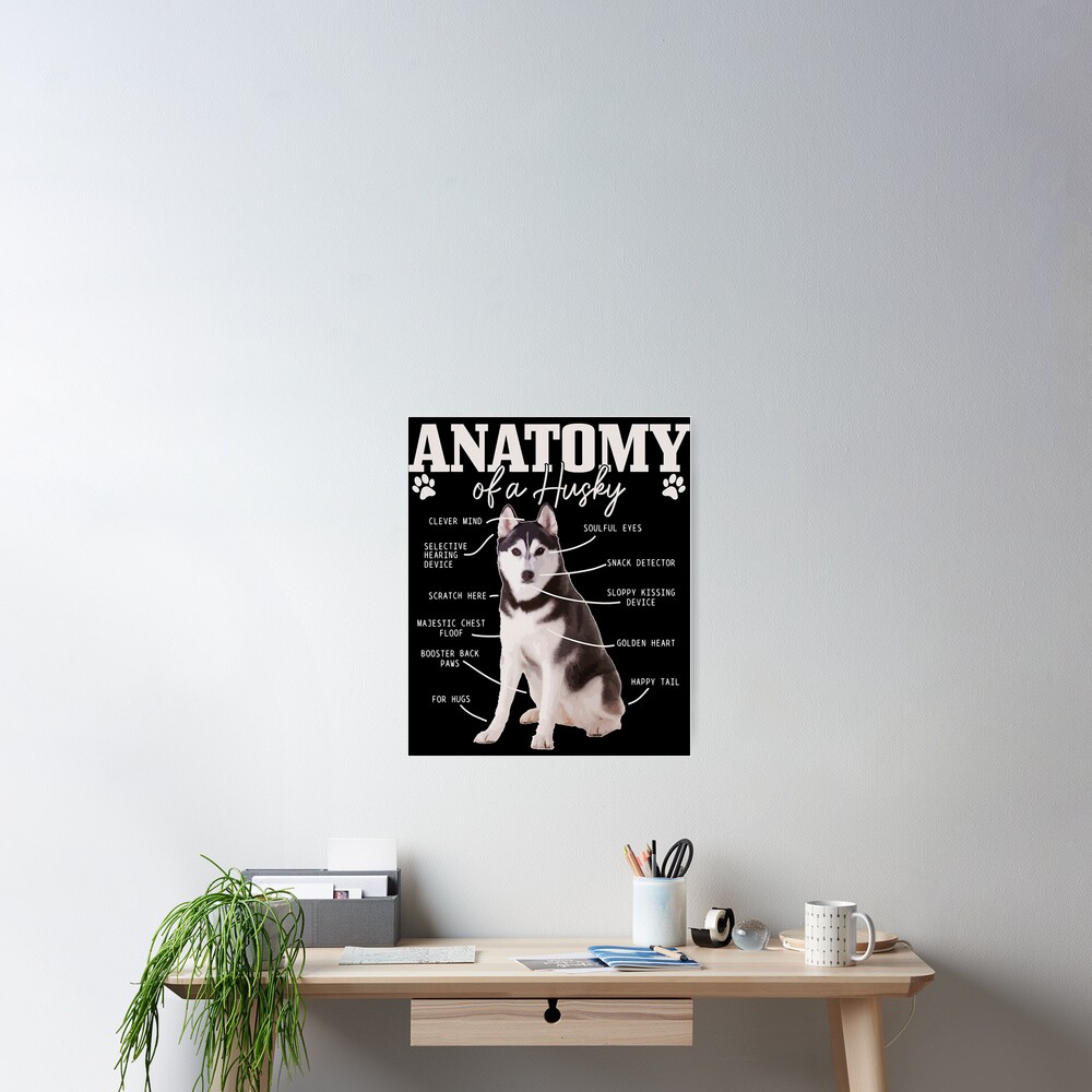 Póster «Mamá Husky Con Bandera Estadounidense Y Husky Siberiano Sentado