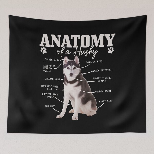 Item preview, Anatomy Of A Siberian Husky Funny Cute Dog Husky Mom Dad designed and sold by PerkinsAarav.