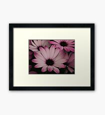 Flowers Framed Print