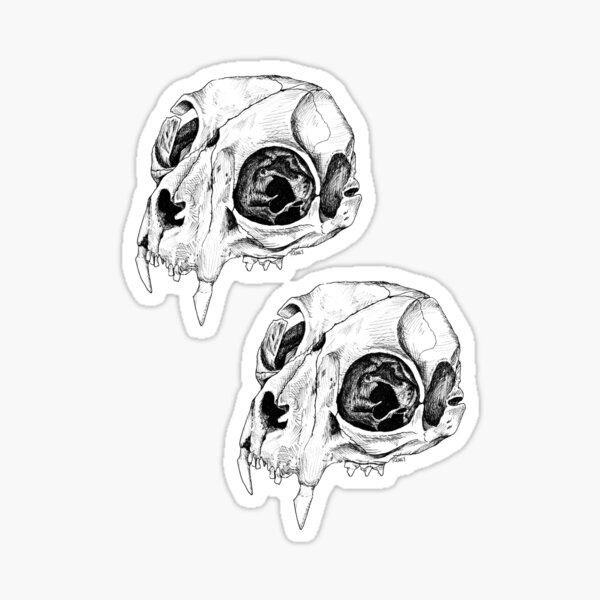 Cat Skull Sticker