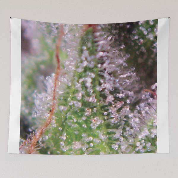 Item preview, Trichome 13 designed and sold by Trichome.