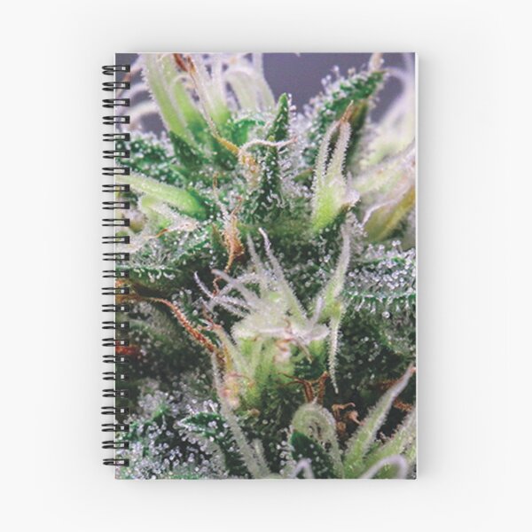 Item preview, Trichome 12 designed and sold by Trichome.