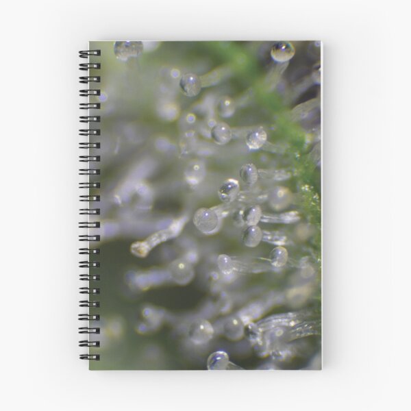 Item preview, Trichome 11 designed and sold by Trichome.