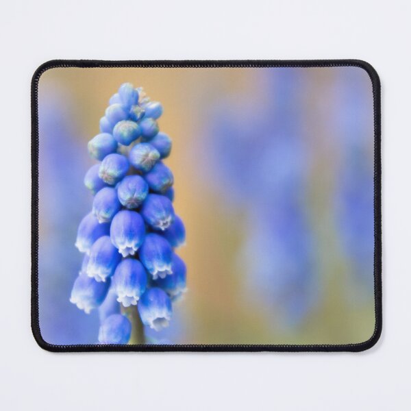 Item preview, Muscari designed and sold by JEZ22.