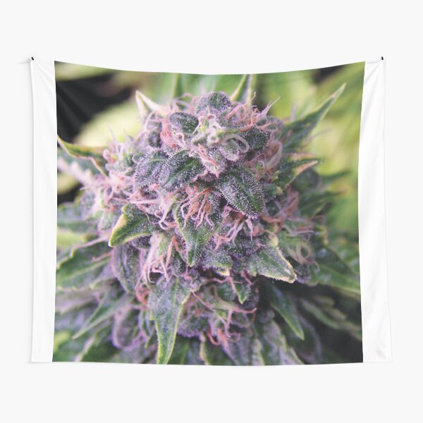 Trichome 14 Tapestry