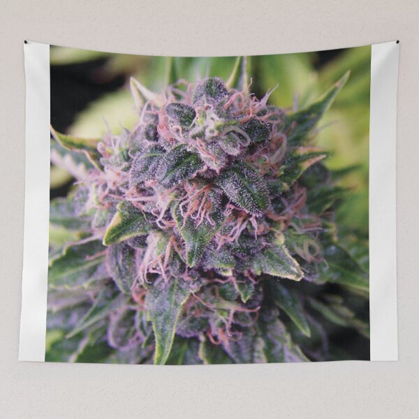 Item preview, Trichome 14 designed and sold by Trichome.
