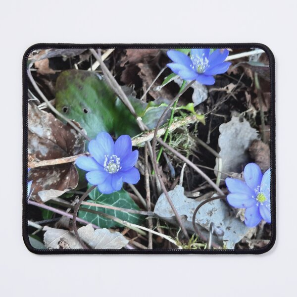 Item preview, spring forest flowers designed and sold by barbich.