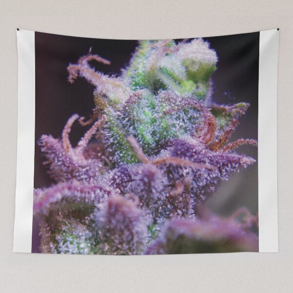Item preview, Trichome 15 designed and sold by Trichome.