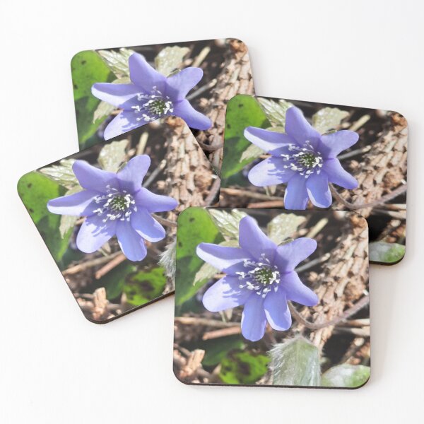 Item preview, spring beauty designed and sold by barbich.