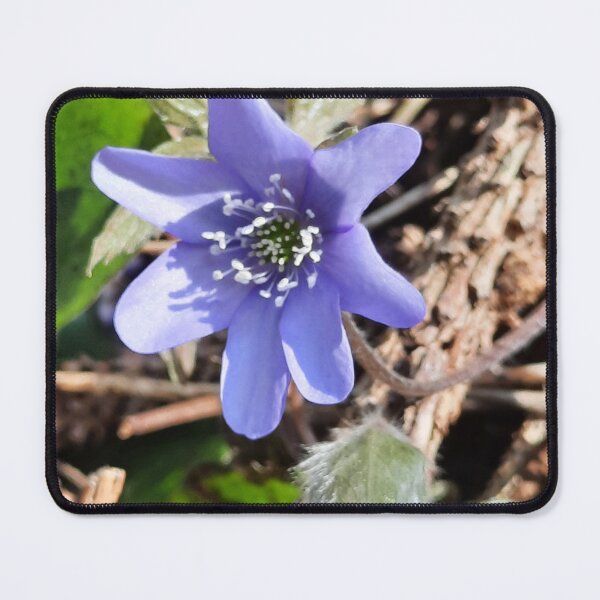 Item preview, spring beauty designed and sold by barbich.