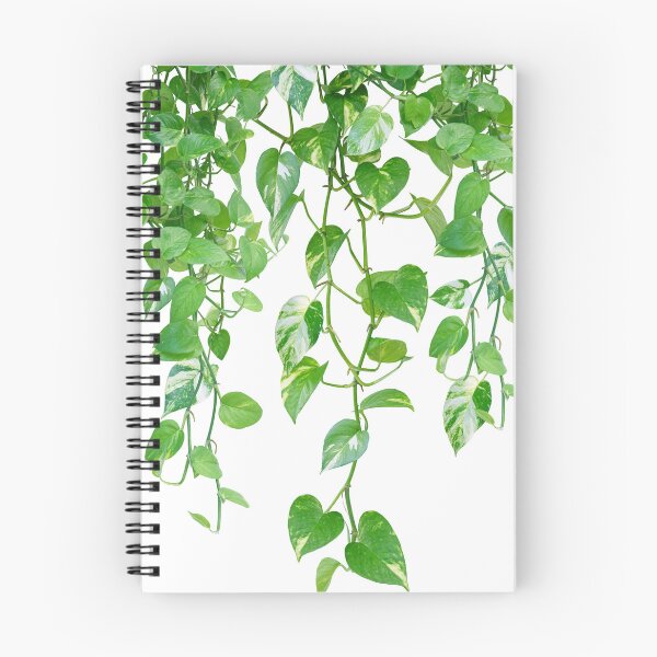 Item preview, Golden Pothos Ivy Dream #1 #tropical #wall #art designed and sold by Anita's & Bella's Art.