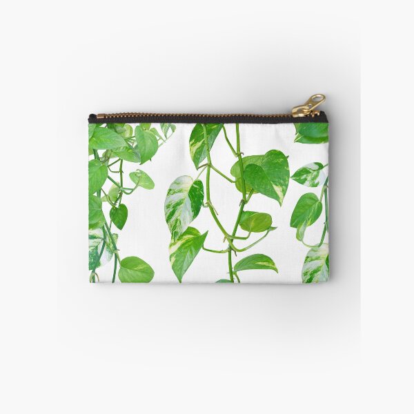 Item preview, Golden Pothos Ivy Dream #1 #tropical #wall #art designed and sold by Anita's & Bella's Art.
