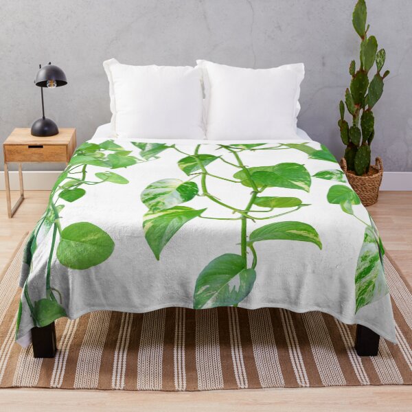 Item preview, Golden Pothos Ivy Dream #1 #tropical #wall #art designed and sold by Anita's & Bella's Art.