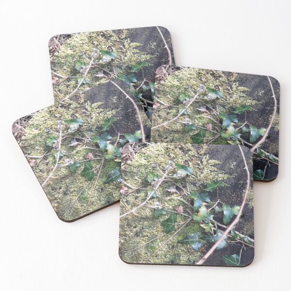 Item preview, moss and ivy... designed and sold by barbich.