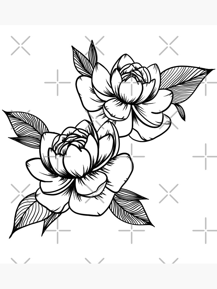 Peony Drawing Garden design | Çiçekli dövmeler, Çiçek dövmesi, Şakayık  dövmesi