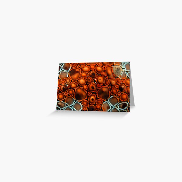 Star Surface Greeting Card