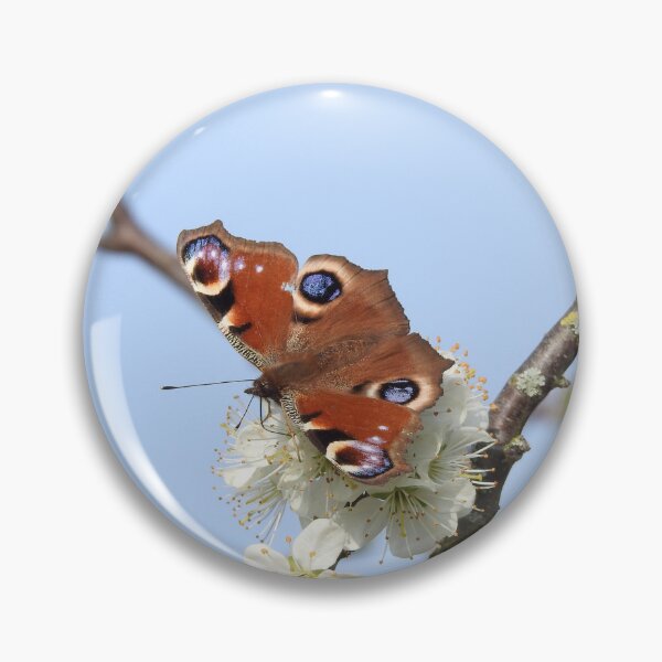Item preview, Peacock butterfly on white blossom designed and sold by TwistedClassics.