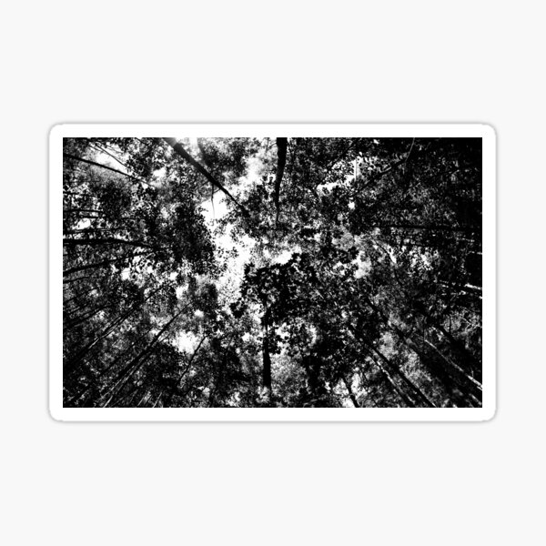 La Tête dans les Arbres Sticker