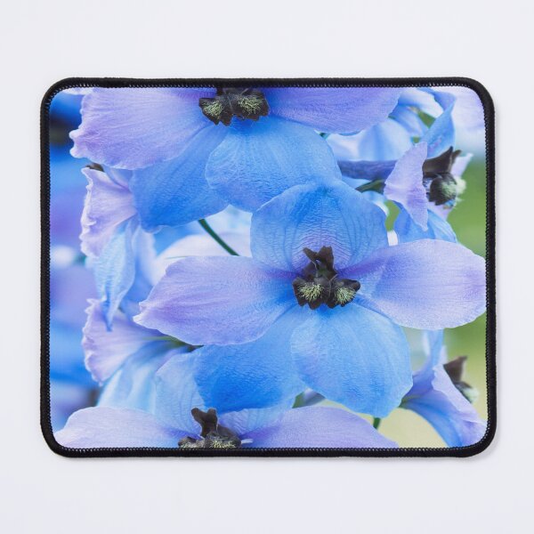 Item preview, Enjoy relaxing with purpl whith blue flowers the beautiful color.  designed and sold by Relaxation  Time.