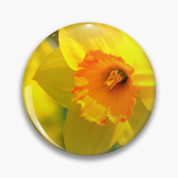 Item preview, Daffodill designed and sold by Briannes-Shop.