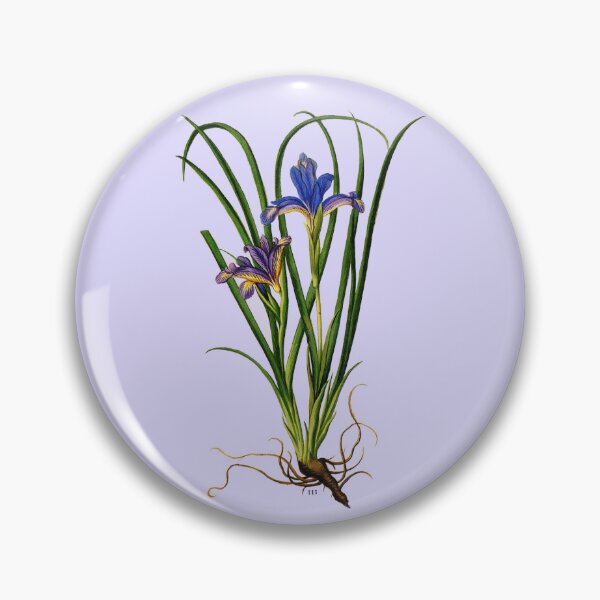 Artikelvorschau, lila Irisblüte (blau) entworfen und verkauft von Madame Memento.