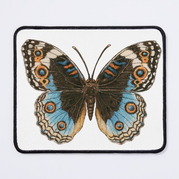 Item preview, Blue Pansy Butterfly designed and sold by Katerina Mitkova Kirilova.
