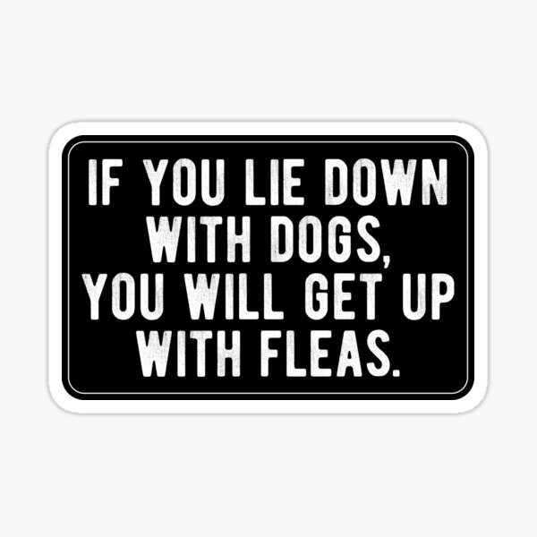 "If You Lie Down With Dogs, You Will Get Up With Fleas. Cool Proverb ...