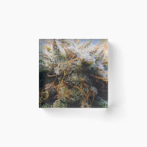 Item preview, Trichome 20 designed and sold by Trichome.