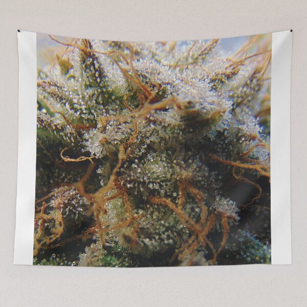 Item preview, Trichome 20 designed and sold by Trichome.