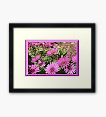 flowers Framed Print