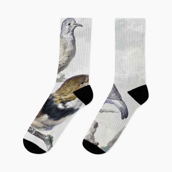 Item preview, Aert Schouman bird designed and sold by FoxPopArt.