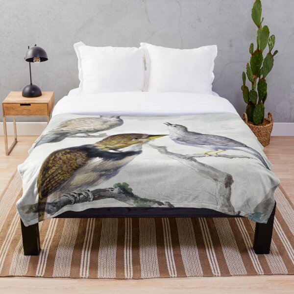 Item preview, Aert Schouman bird designed and sold by FoxPopArt.