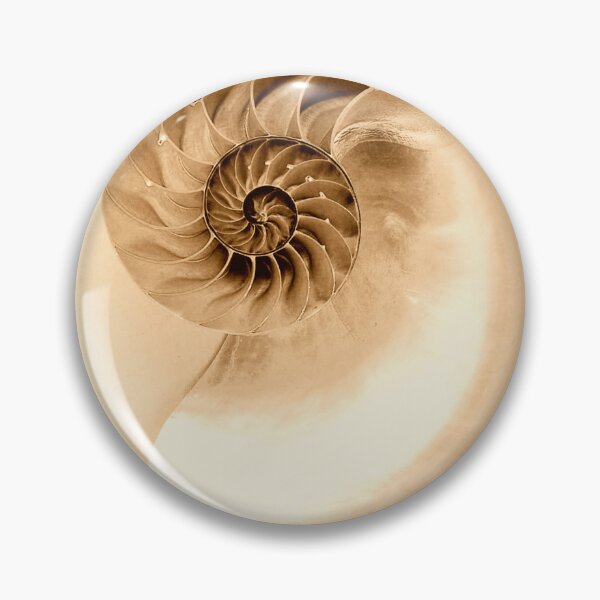 Item preview, SEASHELL  designed and sold by MAYRA PEREZ.