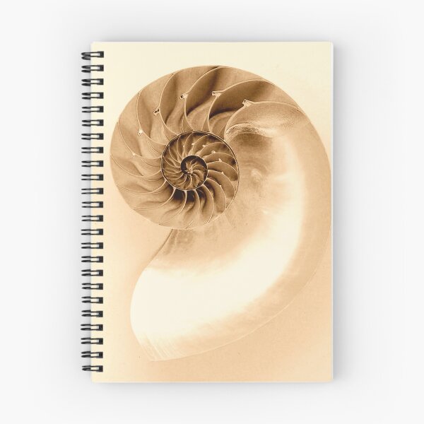 Item preview, SEASHELL  designed and sold by MAYRA PEREZ.