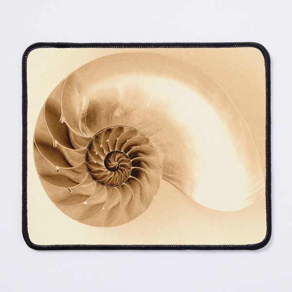 Item preview, SEASHELL  designed and sold by MAYRA PEREZ.
